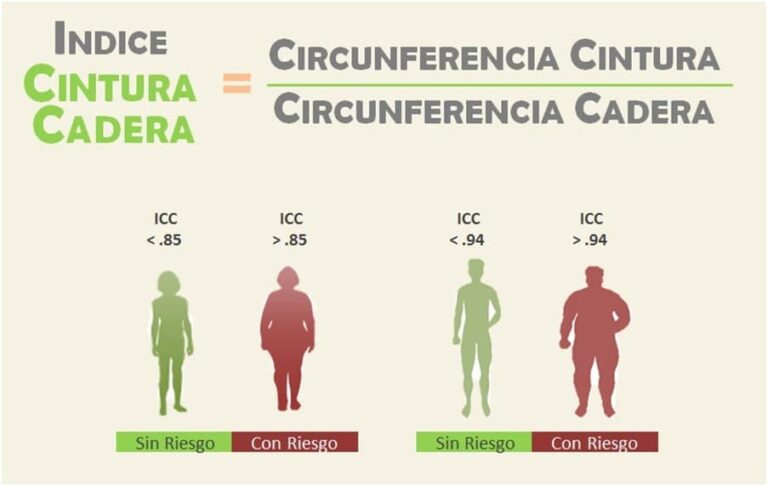Relación cintura-cadera: explorando su impacto en la fertilidad