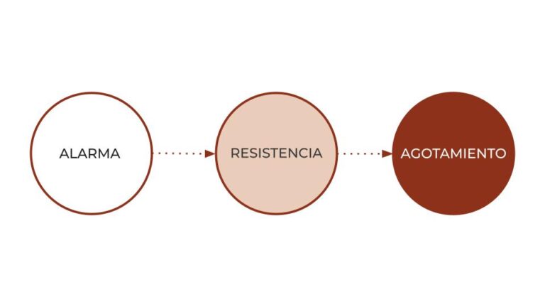 Respuesta de lucha a huida: Domina tu Reacción ante el Estrés