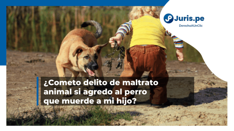 Si un perro muere a otro perro: Es delito y por qué ocurre