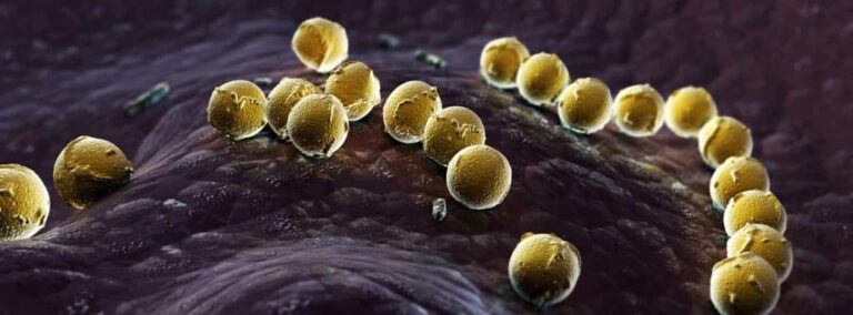 Strep PANDAS: Comprendiendo el Trastorno y sus Tratamientos