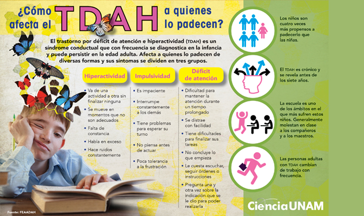 TDAH en niños franceses: Realidad o mito en la educación