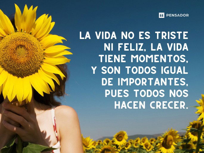 Tiempos más felices: descubriendo los momentos más alegres de la vida