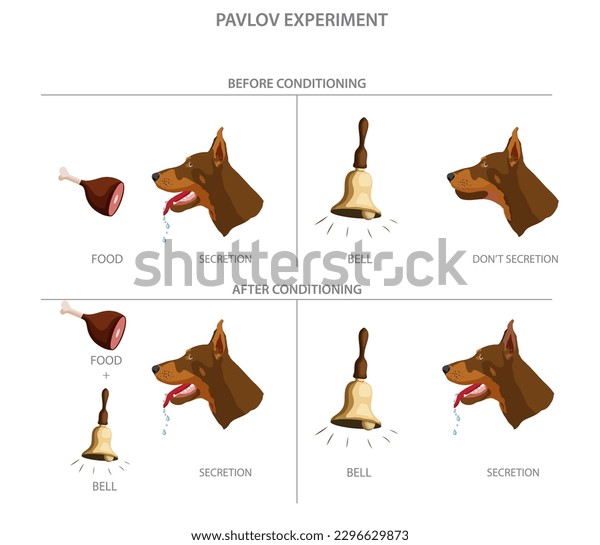 Virus Pavlov: Cómo afecta a los perros y su comportamiento